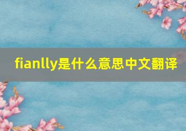 fianlly是什么意思中文翻译