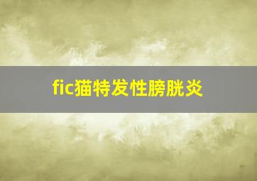 fic猫特发性膀胱炎