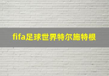 fifa足球世界特尔施特根