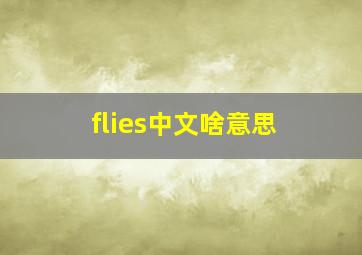 flies中文啥意思