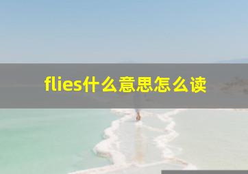 flies什么意思怎么读