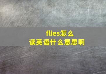 flies怎么读英语什么意思啊