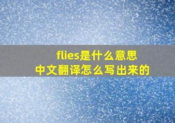 flies是什么意思中文翻译怎么写出来的