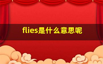 flies是什么意思呢