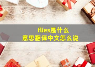 flies是什么意思翻译中文怎么说