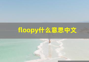 floopy什么意思中文