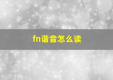 fn谐音怎么读