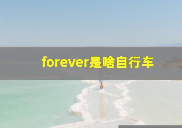 forever是啥自行车