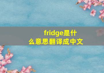 fridge是什么意思翻译成中文