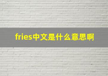 fries中文是什么意思啊