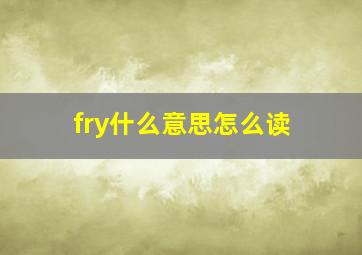 fry什么意思怎么读