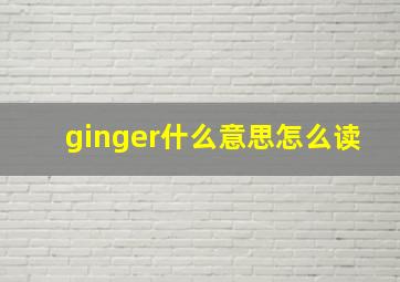 ginger什么意思怎么读