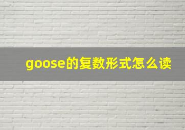 goose的复数形式怎么读