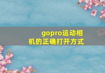 gopro运动相机的正确打开方式