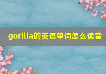 gorilla的英语单词怎么读音