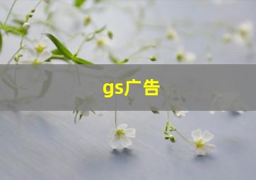 gs广告