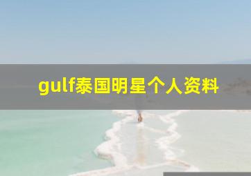 gulf泰国明星个人资料