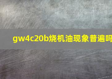 gw4c20b烧机油现象普遍吗