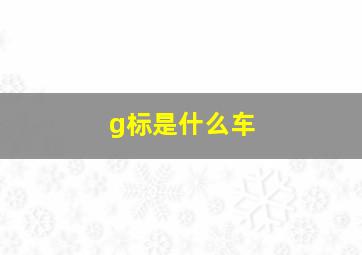 g标是什么车