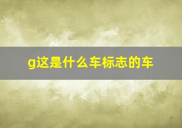 g这是什么车标志的车