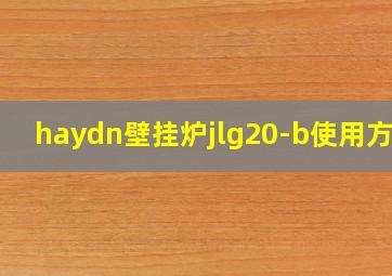 haydn壁挂炉jlg20-b使用方法