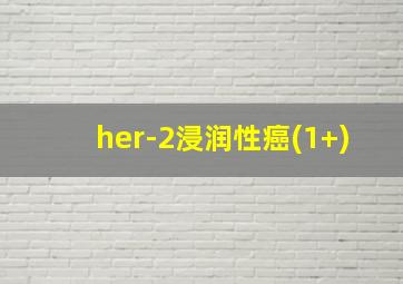 her-2浸润性癌(1+)