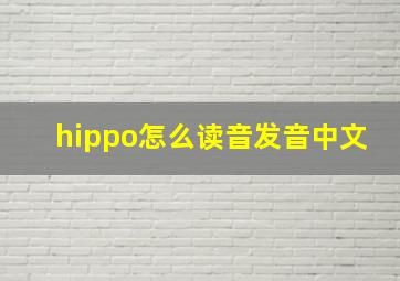 hippo怎么读音发音中文