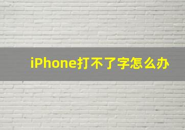 iPhone打不了字怎么办