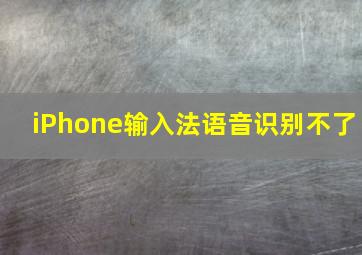 iPhone输入法语音识别不了