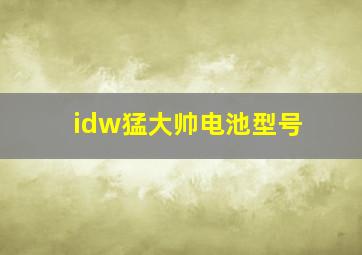 idw猛大帅电池型号