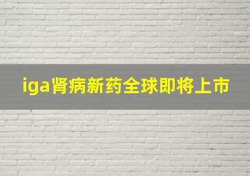 iga肾病新药全球即将上市