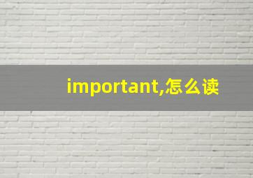 important,怎么读