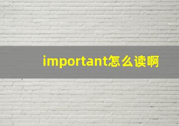 important怎么读啊