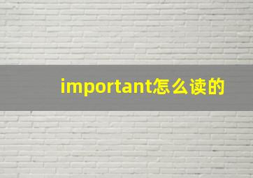 important怎么读的