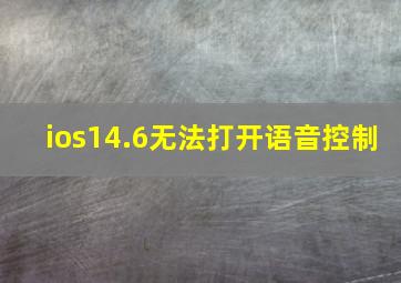 ios14.6无法打开语音控制