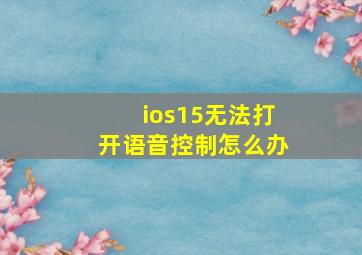 ios15无法打开语音控制怎么办