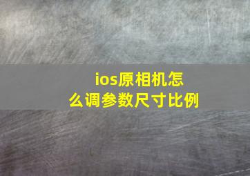 ios原相机怎么调参数尺寸比例