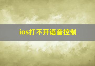 ios打不开语音控制