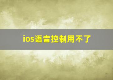 ios语音控制用不了