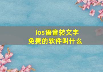 ios语音转文字免费的软件叫什么