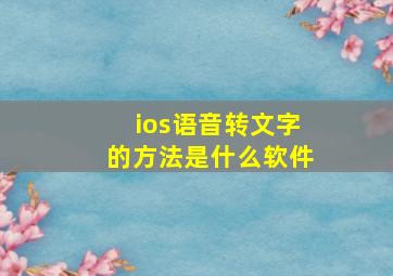 ios语音转文字的方法是什么软件