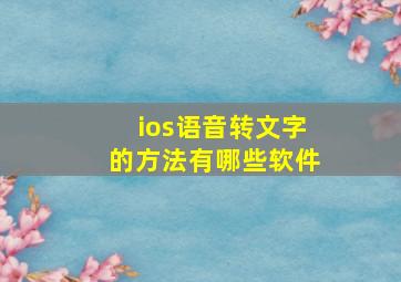 ios语音转文字的方法有哪些软件