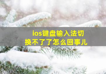 ios键盘输入法切换不了了怎么回事儿