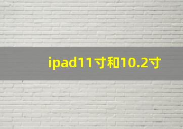 ipad11寸和10.2寸