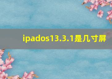 ipados13.3.1是几寸屏