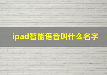 ipad智能语音叫什么名字