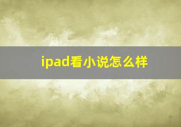 ipad看小说怎么样