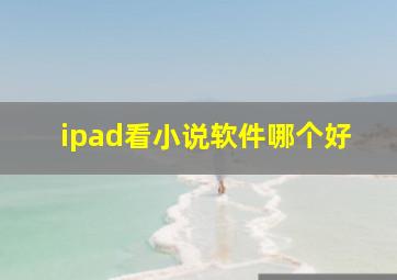 ipad看小说软件哪个好