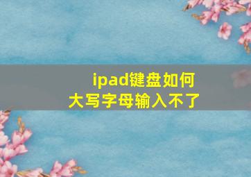 ipad键盘如何大写字母输入不了