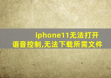 iphone11无法打开语音控制,无法下载所需文件